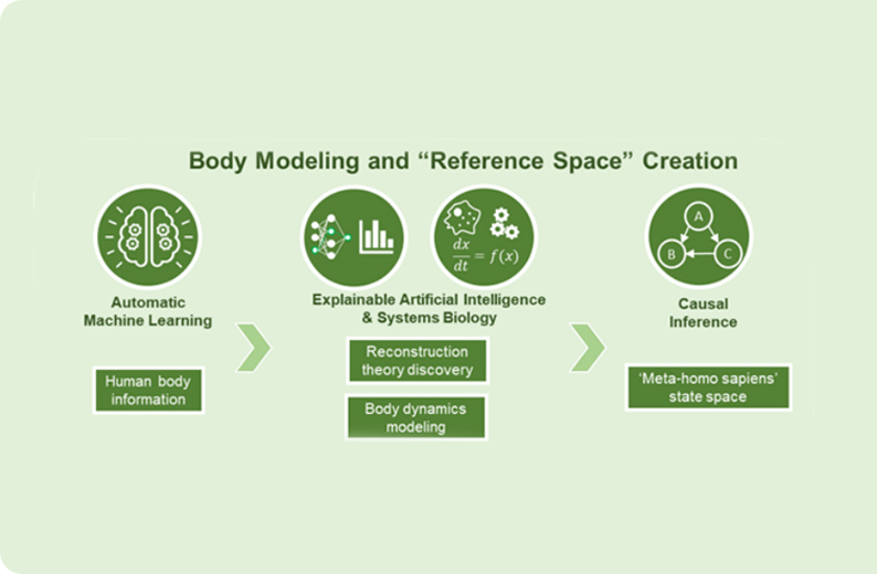 Modeling a Meta-Homo Sapiens of The Human Body