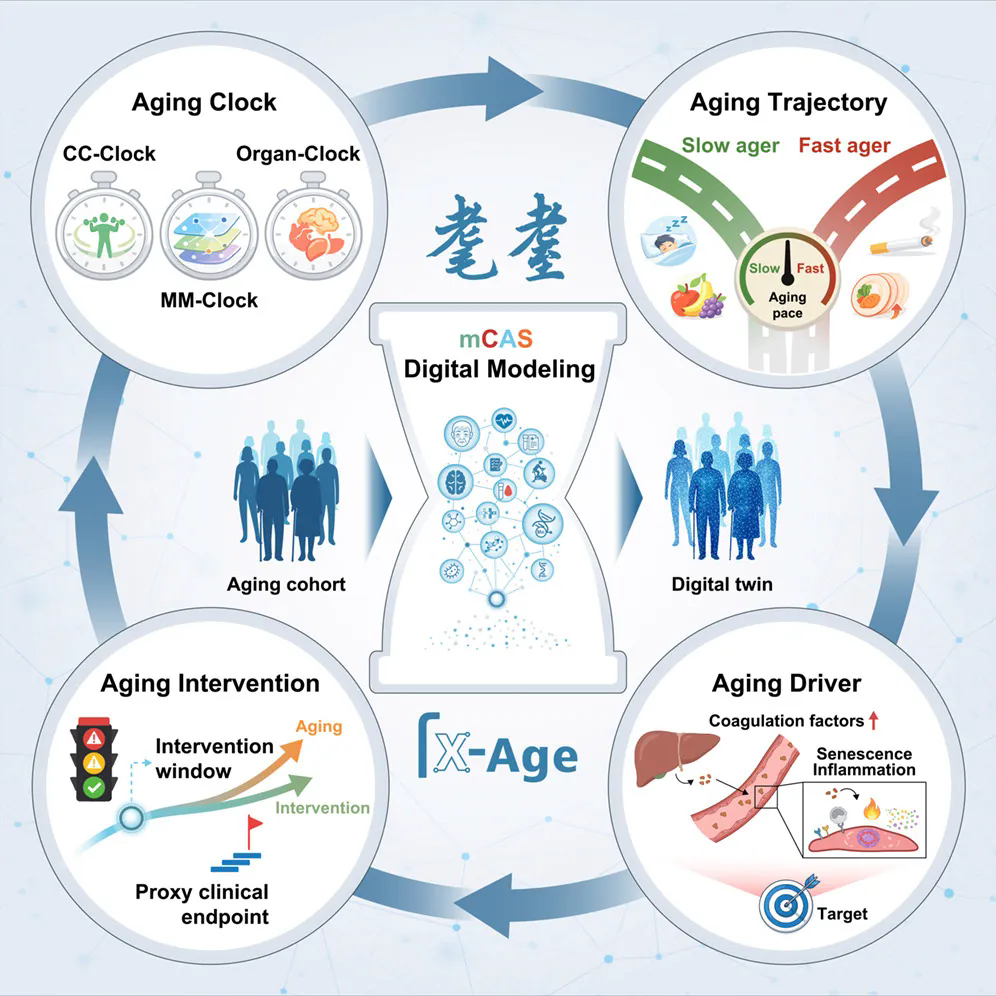 π-HuB Research Highlights | Important Progress Led by Prof. Guang-Hui Liu — Multimodal Aging Clocks Establish a Digital Framework for Human Aging