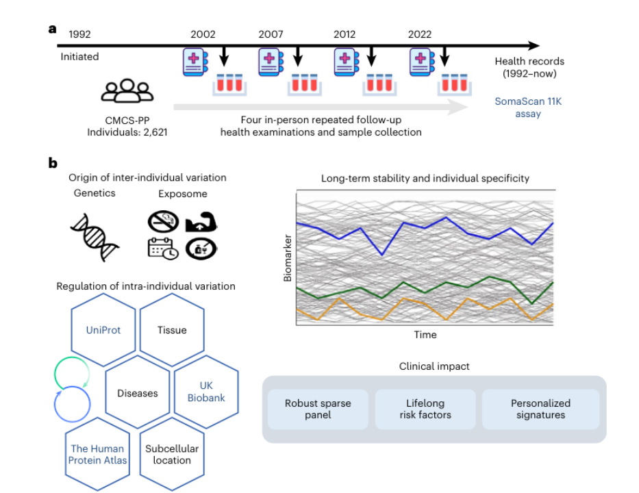 π-HuB Research Highlights | Twenty-Year Longitudinal Proteomic Atlas Defines Long-Term Blood Protein Stability for Precision Ageing Research